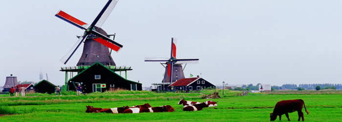 【荷兰】一步到位获5年居留许可