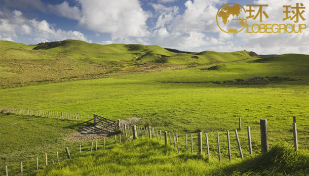 环球新西兰移民项目数据分析