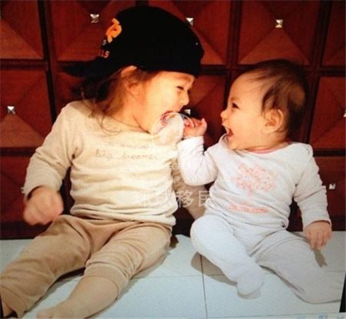 [技术类] 移民荷兰,用最低的价格享受最好的教育