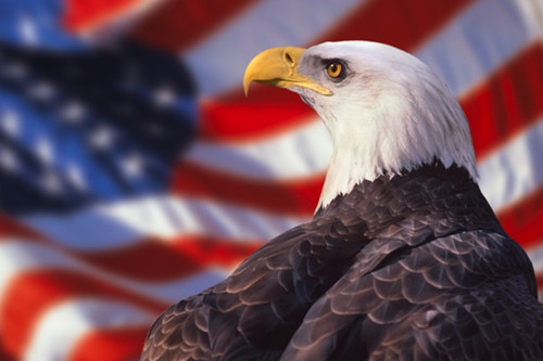 新移民对美国全球征税政策的误解和担心