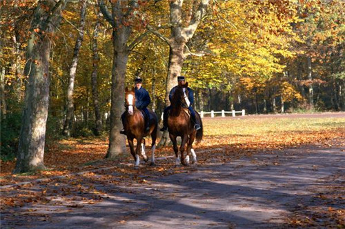 2015年加拿大联邦技术移民新政策解读