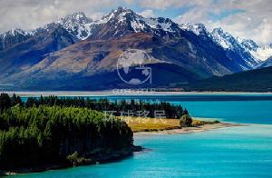 全球移民展活动汇总