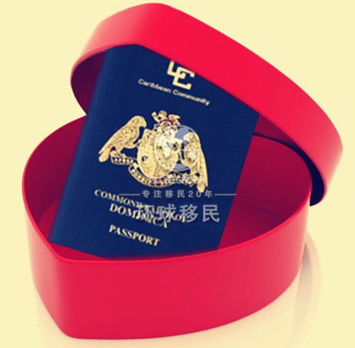多米尼克护照通行使用指南