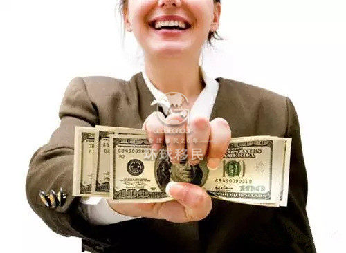 多米尼克护照教您避税新技能