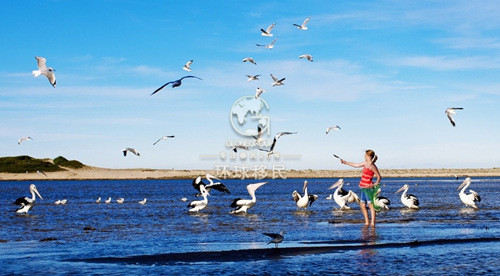 越来越多的人选择第二国籍护照 多米尼克