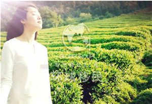 移民韩国:来济州岛移民不移居随时远离北京雾