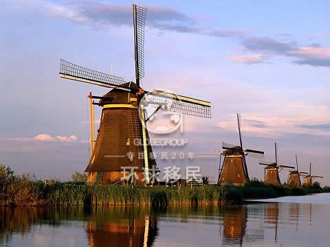 〖解析〗关于KM(荷兰高技术移民),你想知道的