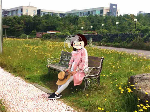 客户回访纪录|那些在环球办理过韩国移民的客