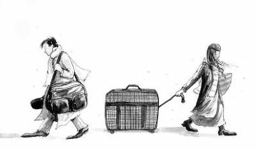 加拿大夫妻团聚移民被拒签?怎么办?