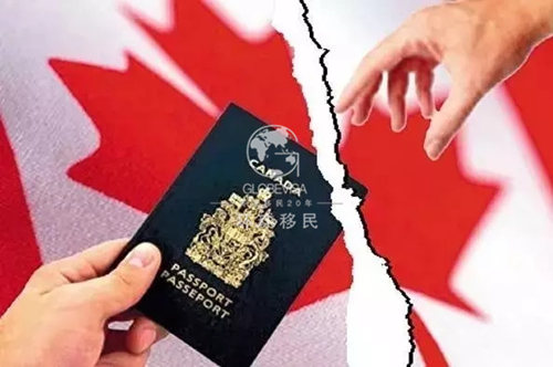 加拿大夫妻团聚移民还有造假?害人害已!