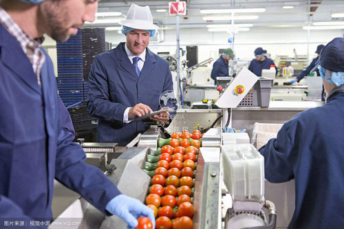 英国行业信息分享-食品饮料行业