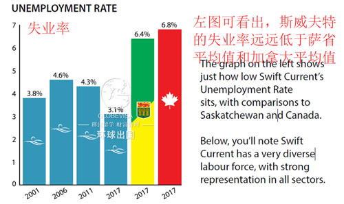 9型人格人口占比数据_世界肥胖人口占比图片