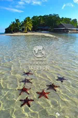 优选第三国身份 瓦努阿图护照移民好处多