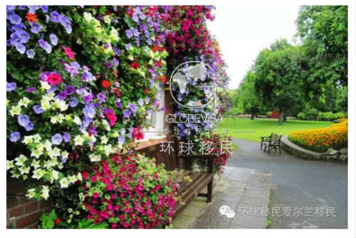 企业税较低的爱尔兰,遗产税如何计算呢?