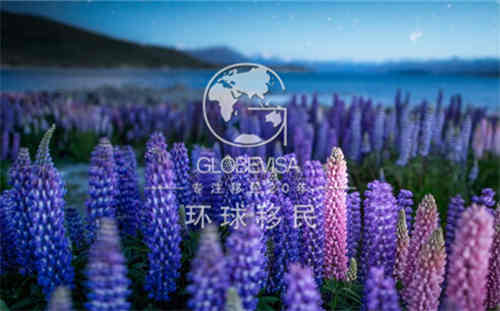 202020世界第一人口大国排名_世界人口排名(2)