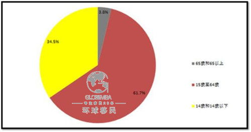 人口结构 中国经济_中国人口结构(2)