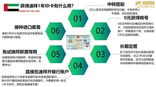 迪拜远程办公签证PPT20220128_08.png