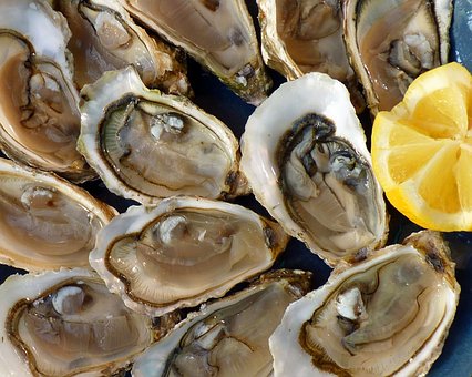 oysters-1958668__340.jpg